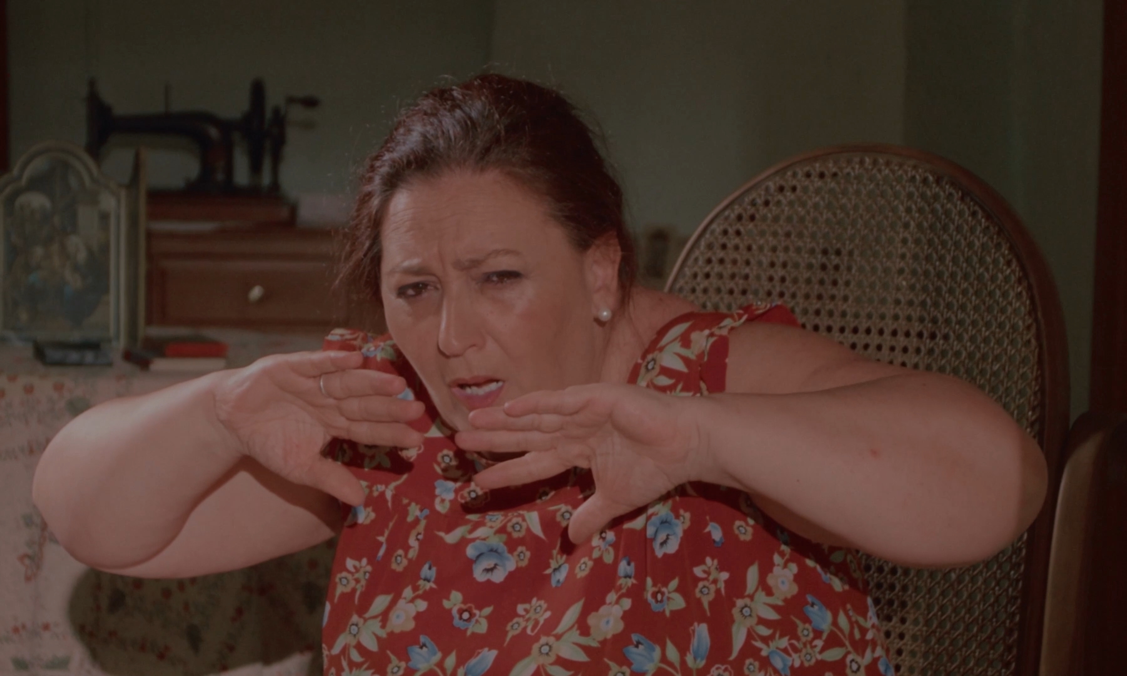 Curiosity Killed the Cat Still 5